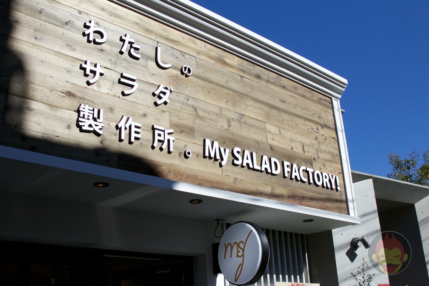 わたしのサラダ製作所。My SALAD FACTORY!