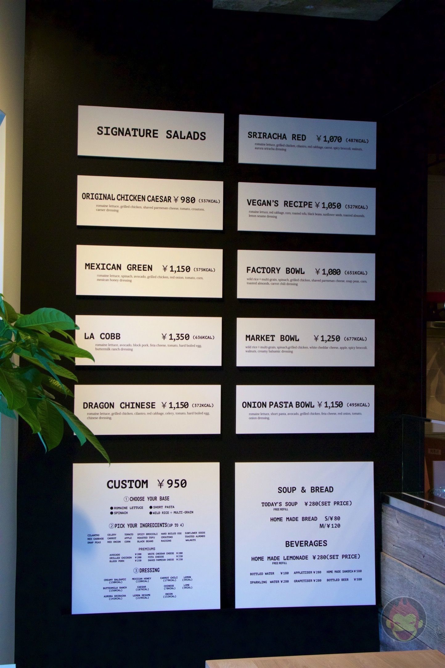 わたしのサラダ製作所。My SALAD FACTORY!