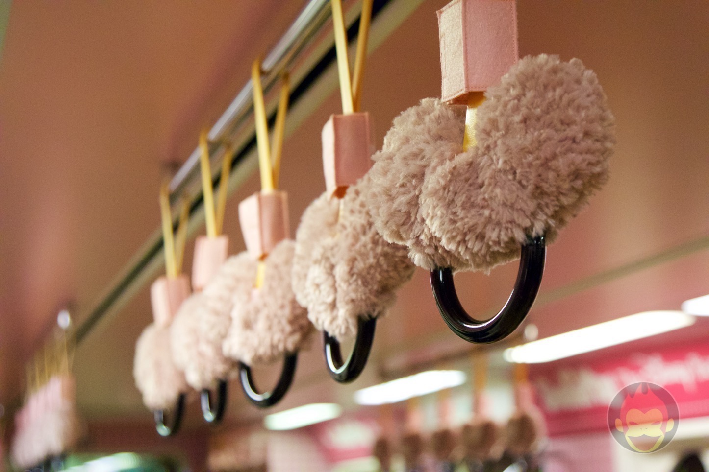 ディズニーリゾートライン（ダッフィー・シェリーメイ・ジェラトーニ限定車両）