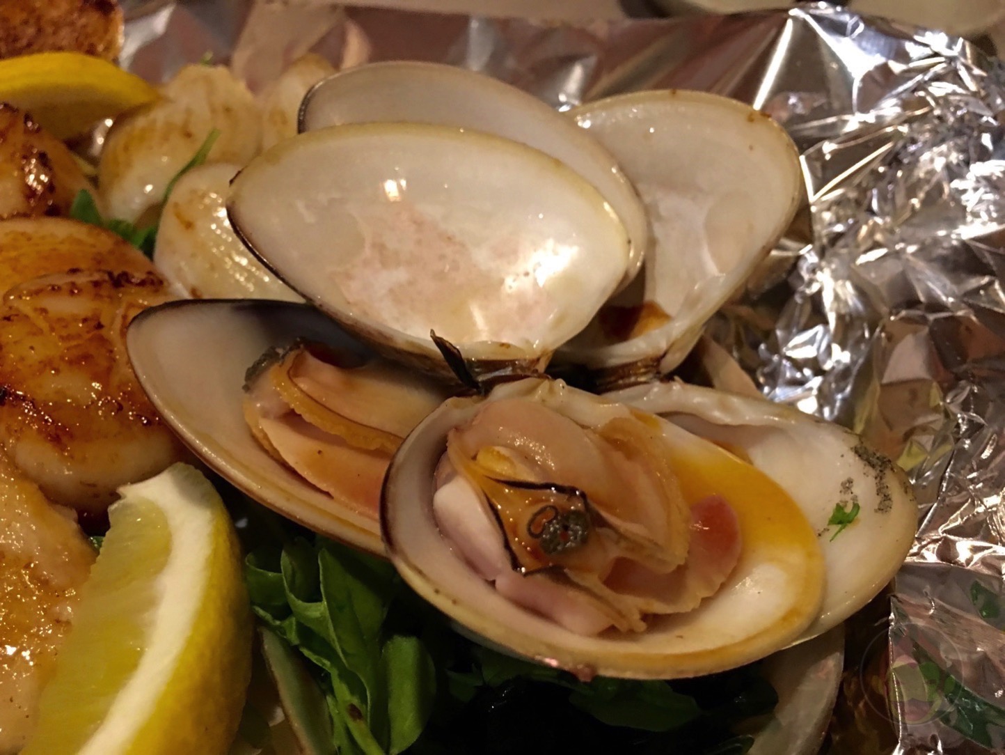 六本木の隠れ家、鉄板焼「きだんち」