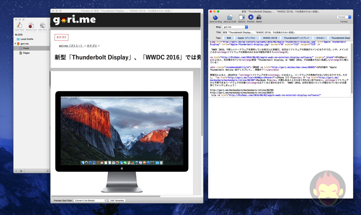 MarsEdit Paragraph Error