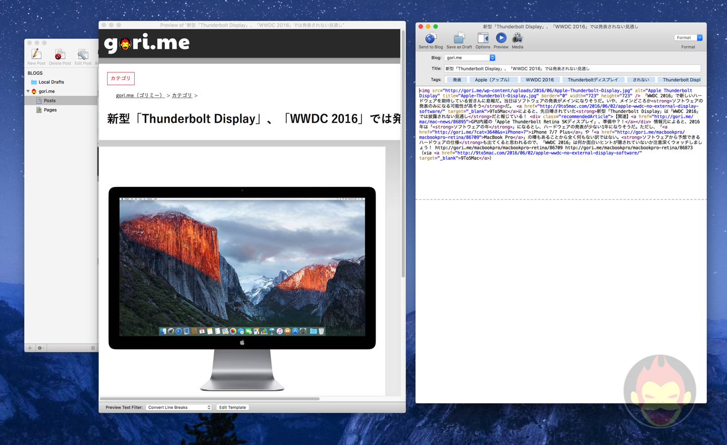 MarsEdit Paragraph Error
