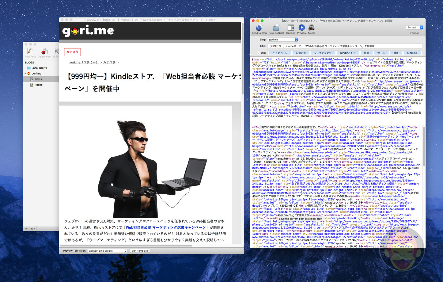 MarsEdit Paragraph Error