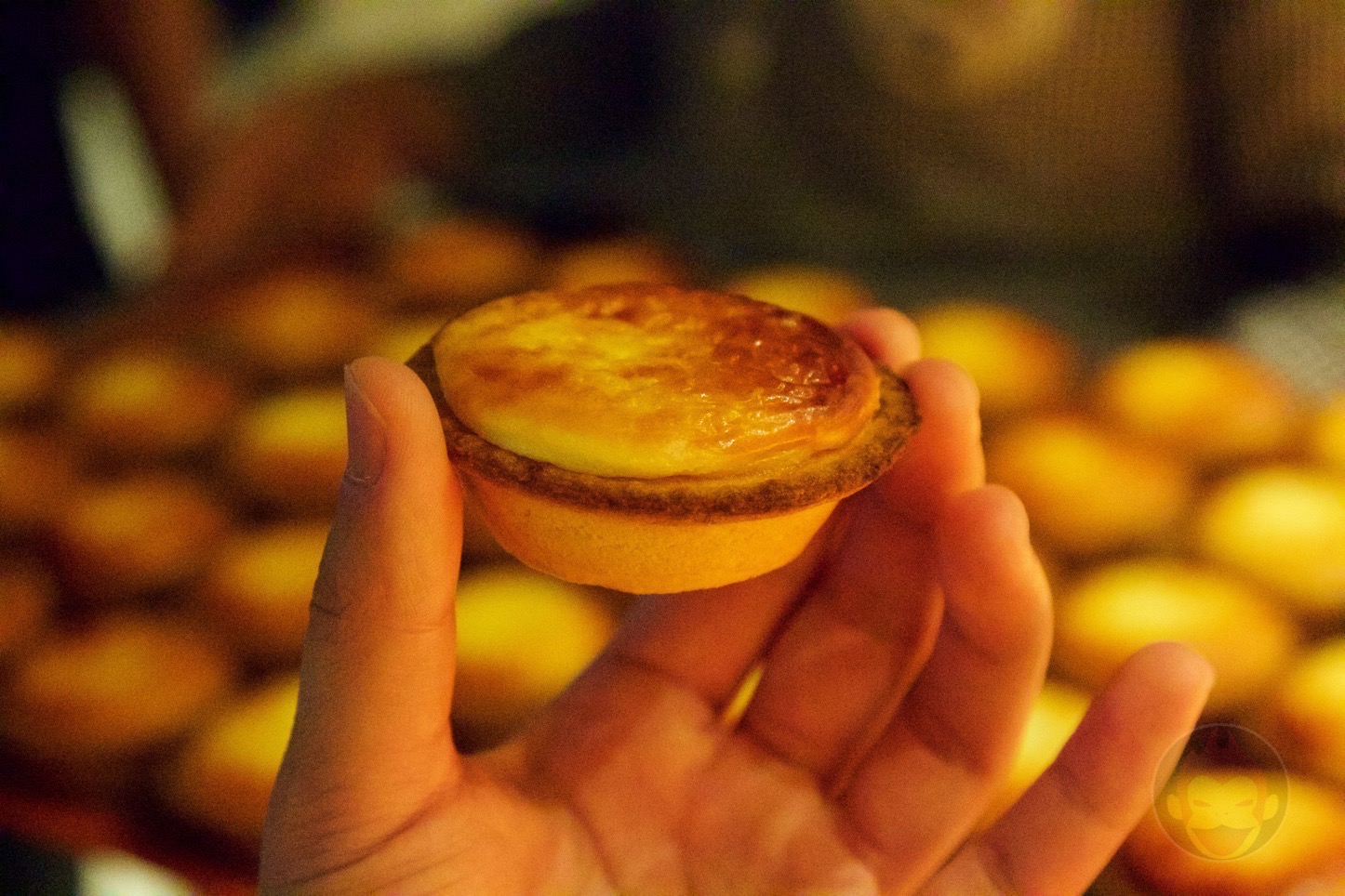 BAKE CHEESE TART IKSPIARI