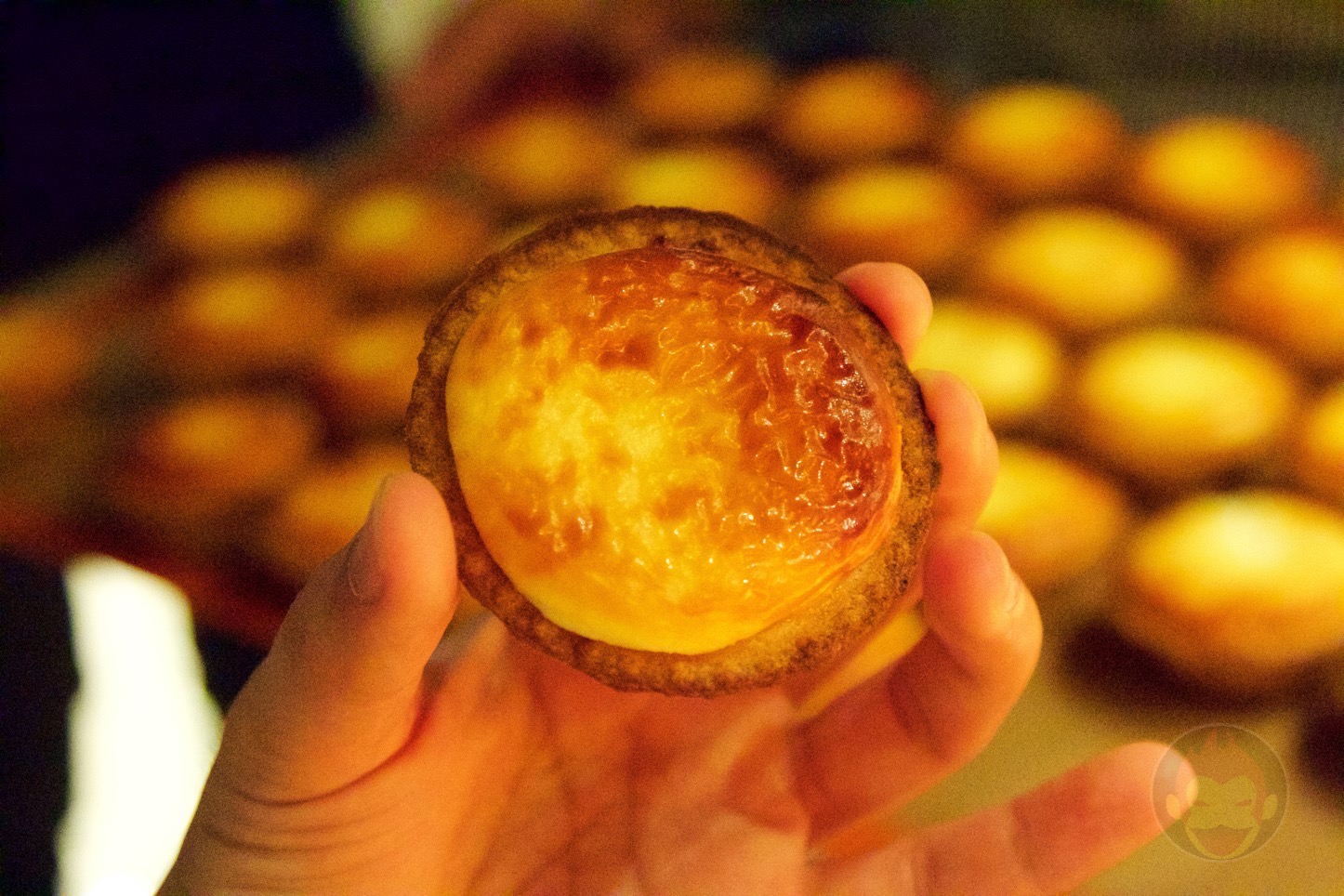 BAKE CHEESE TART IKSPIARI