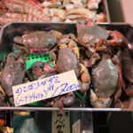 Tsukiji-Uogashi-01.jpg