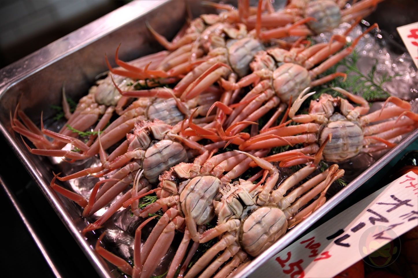 築地魚河岸プレオープン　高邦水産