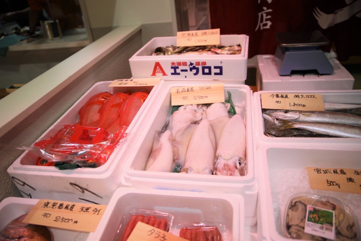 築地魚河岸プレオープン　高邦水産