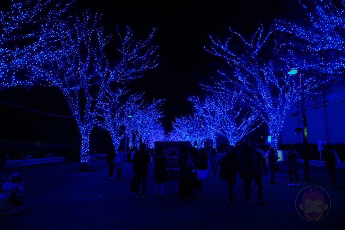 渋谷の青の洞窟