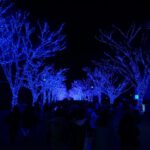 Blue-Cave-in-Shibuya-02.jpg