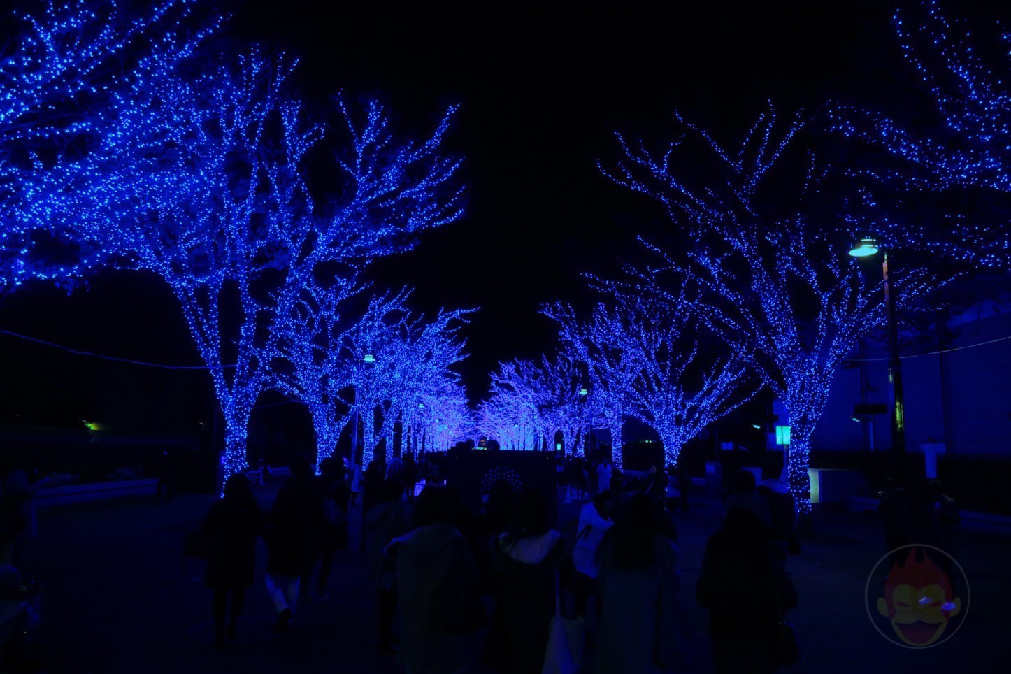 渋谷の青の洞窟