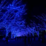 Blue-Cave-in-Shibuya-03.jpg