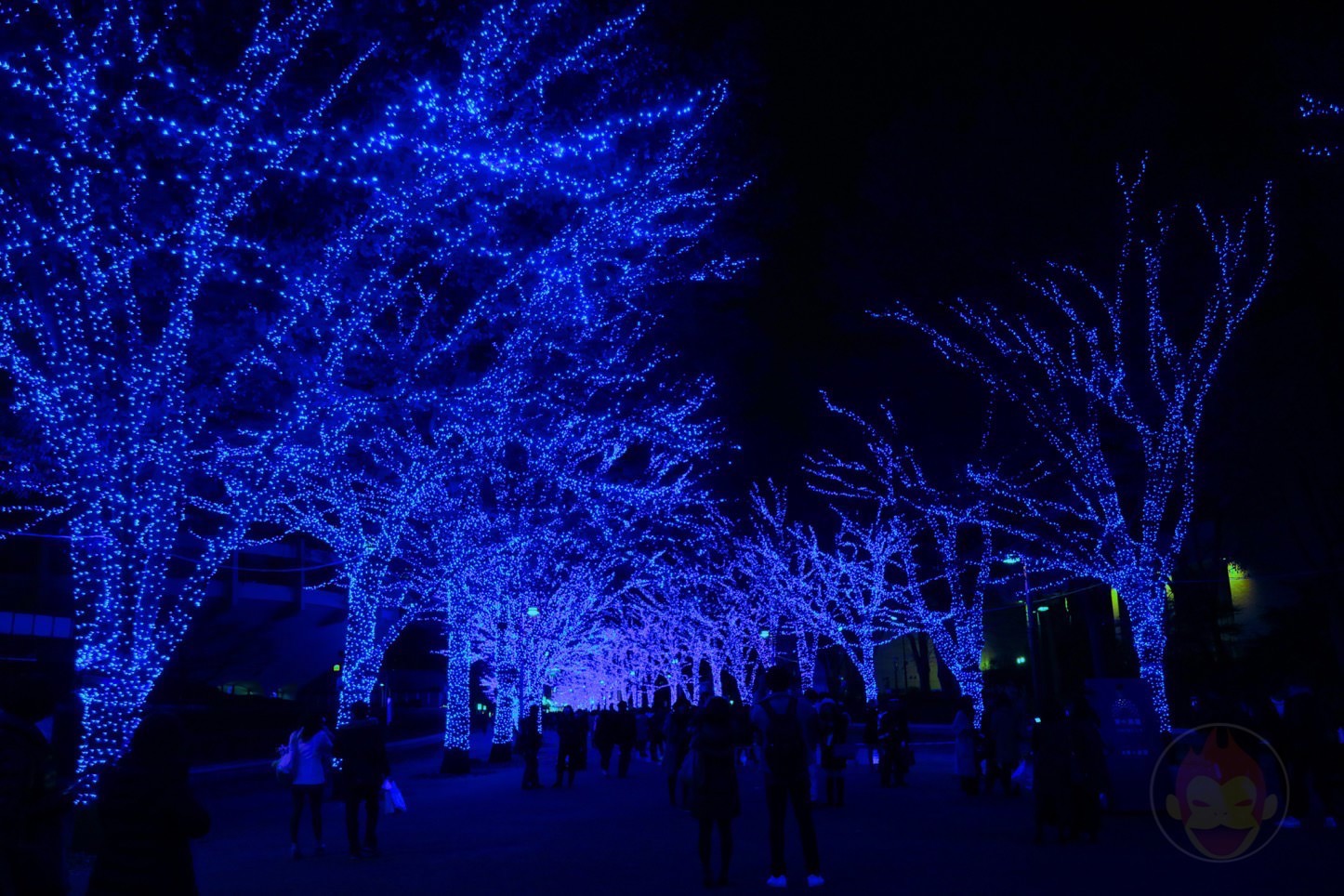 渋谷の青の洞窟