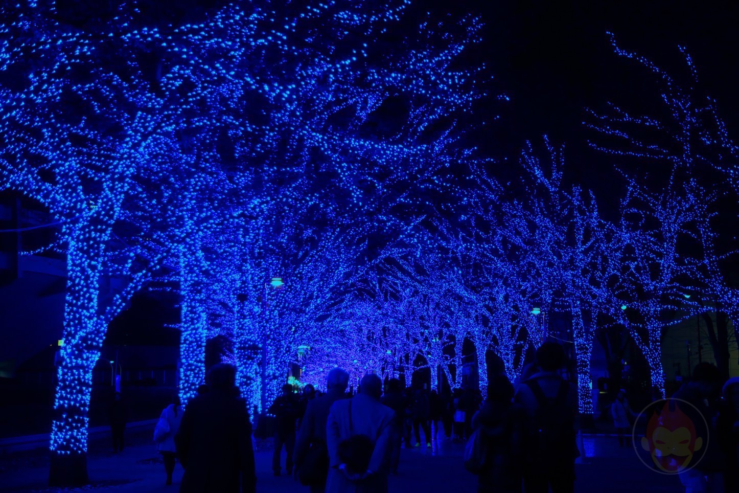 Blue-Cave-in-Shibuya-04.jpg