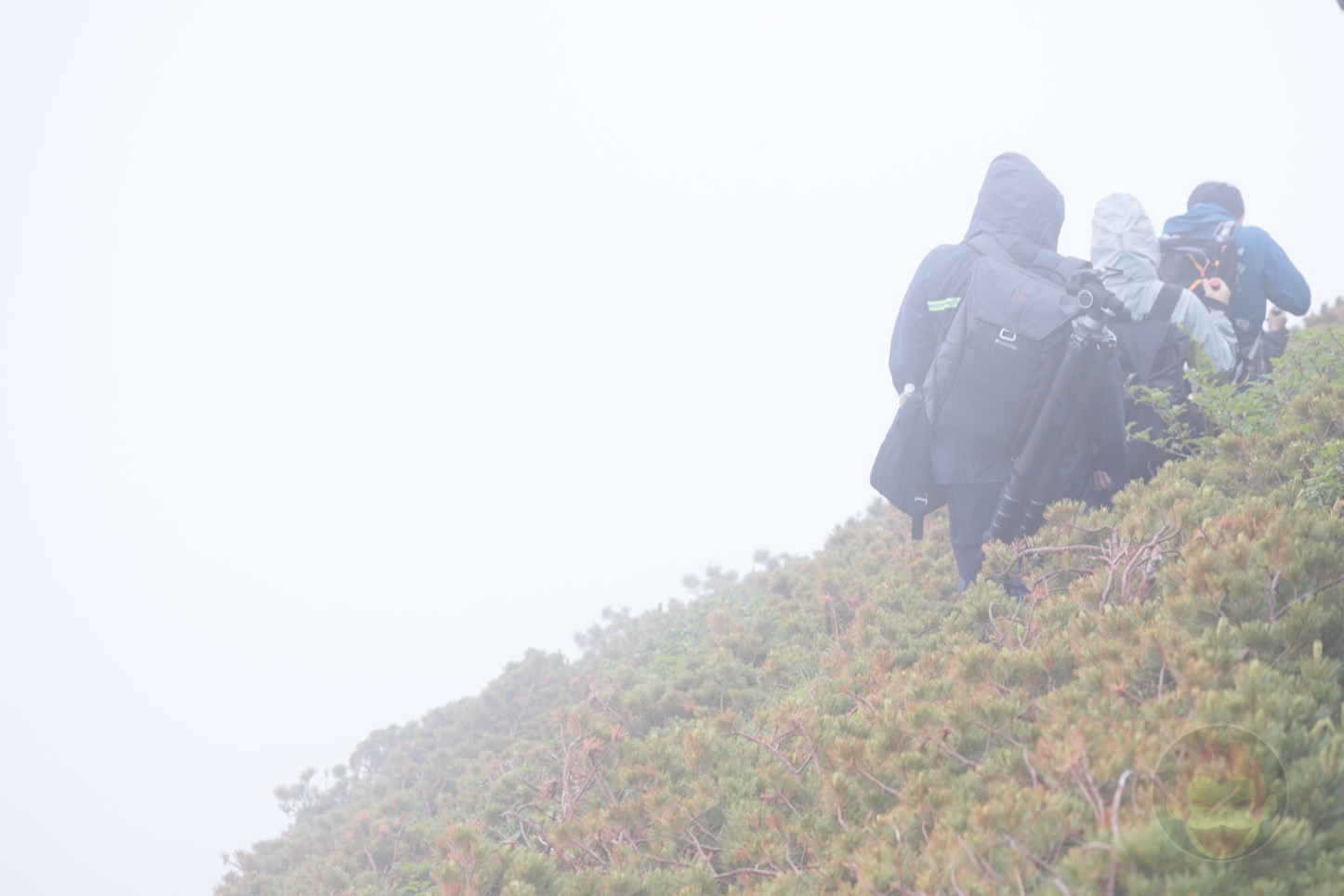 乗鞍新登山道整備2017：登山中