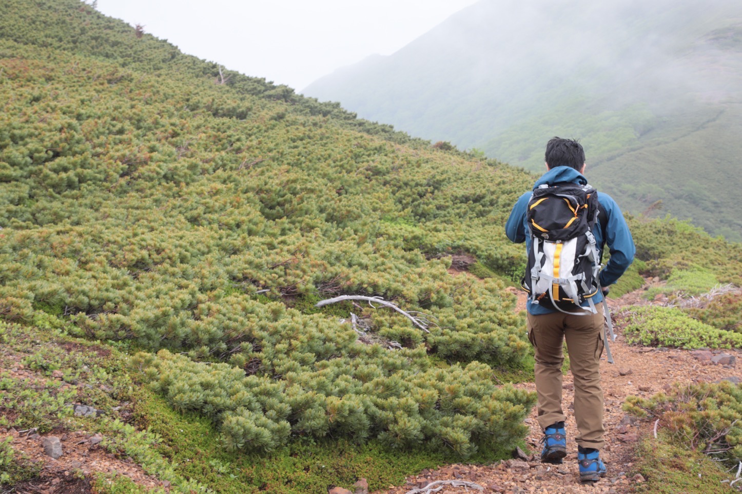 乗鞍新登山道整備2017：歩く僕