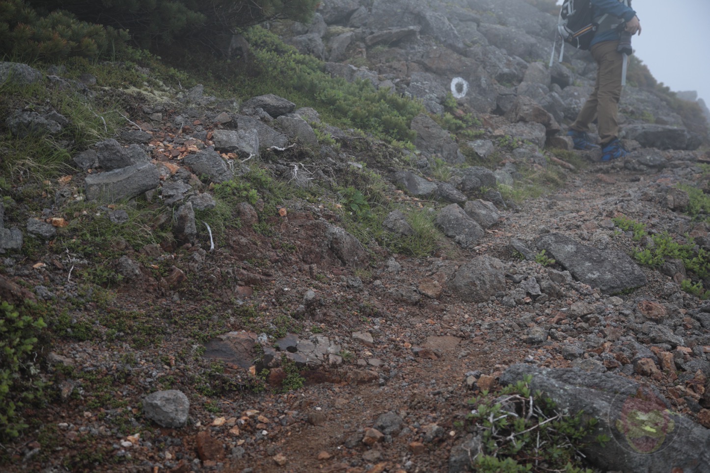 乗鞍新登山道整備2017：道なき道2