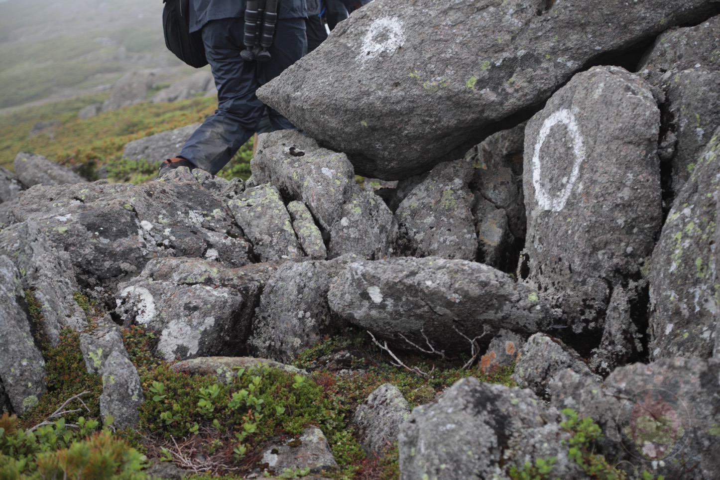乗鞍新登山道整備2017：登山道の道標