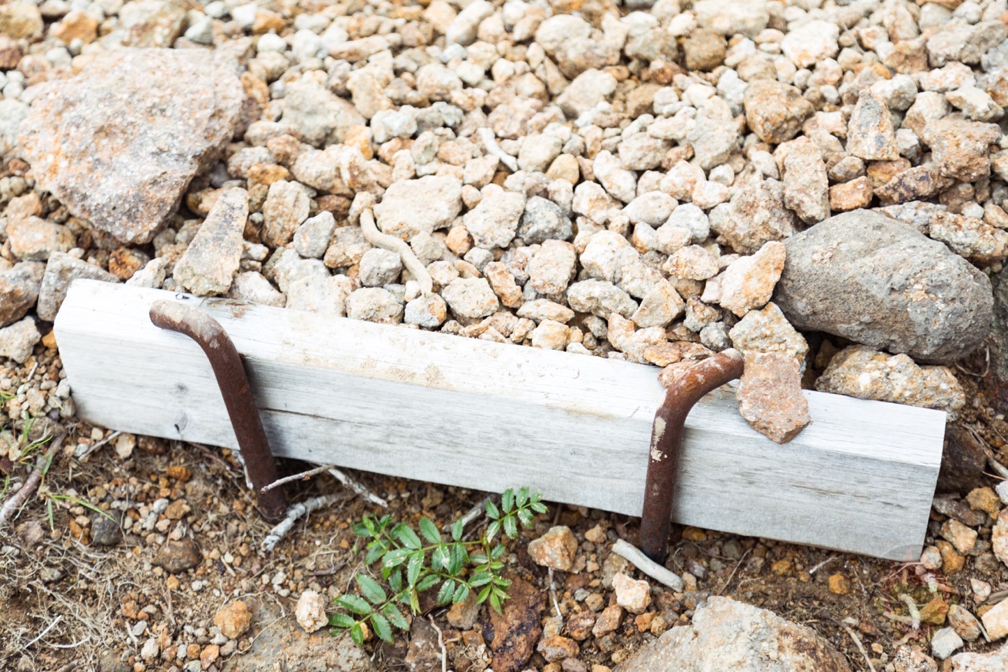 乗鞍新登山道整備2017