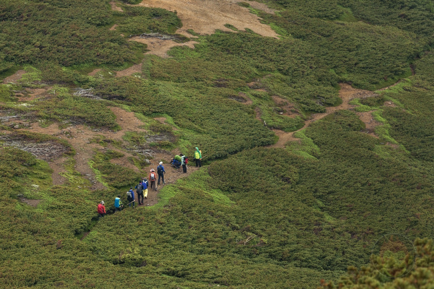 乗鞍新登山道整備2017