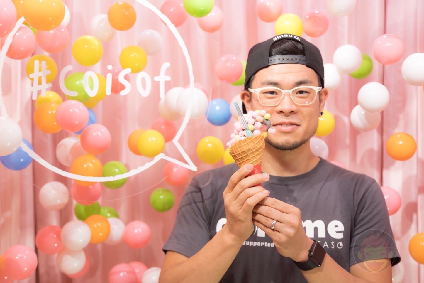 えーっと、これがcoiソフトです