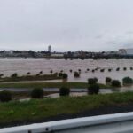 Tamagawa-Typhoon21.jpg