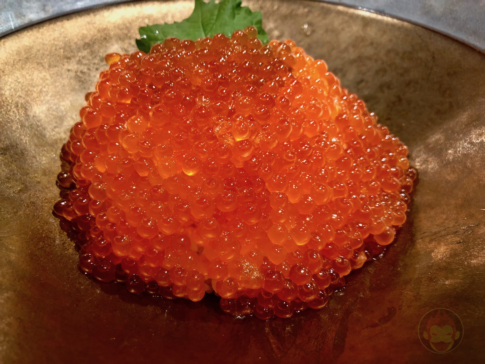 Shimano Hito Hokkaido Shinchitose Airport 08