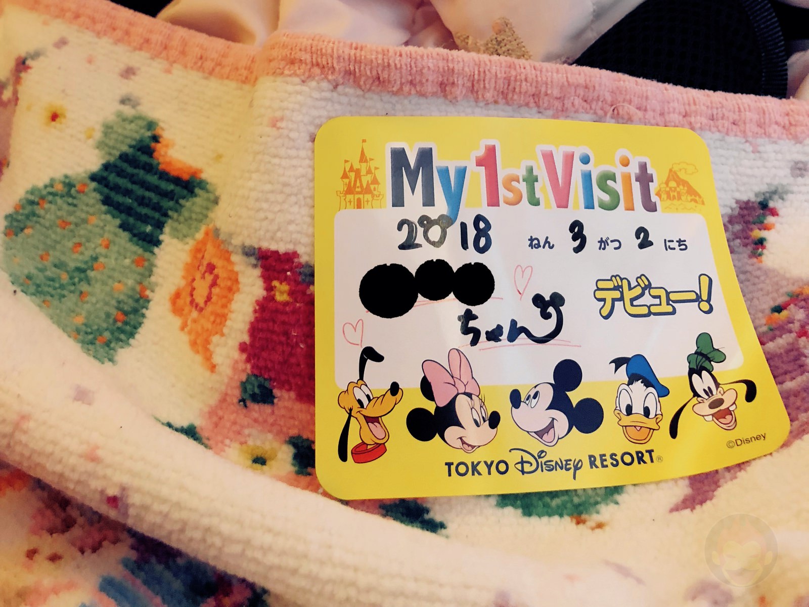 My 1st Visit to Disney