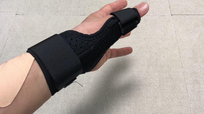 Pykes Peak with Plate