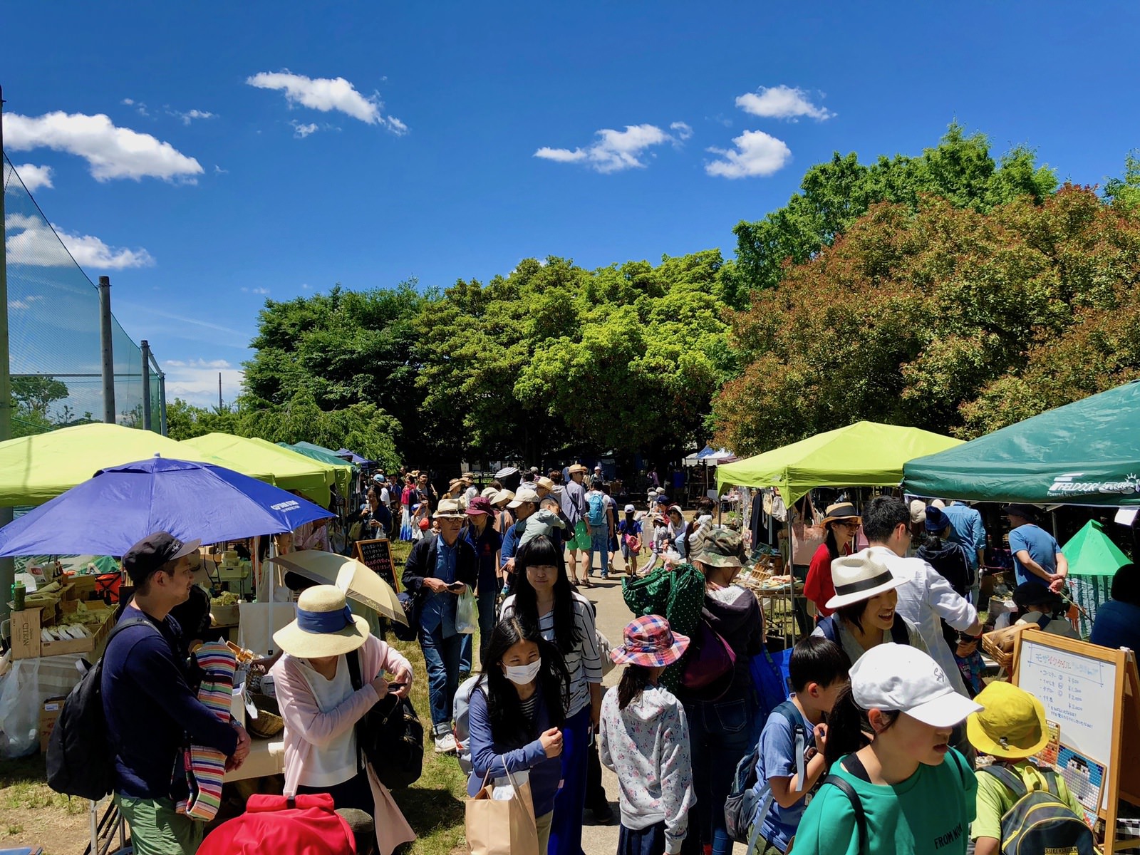 Vege and fork Market Gorime 05