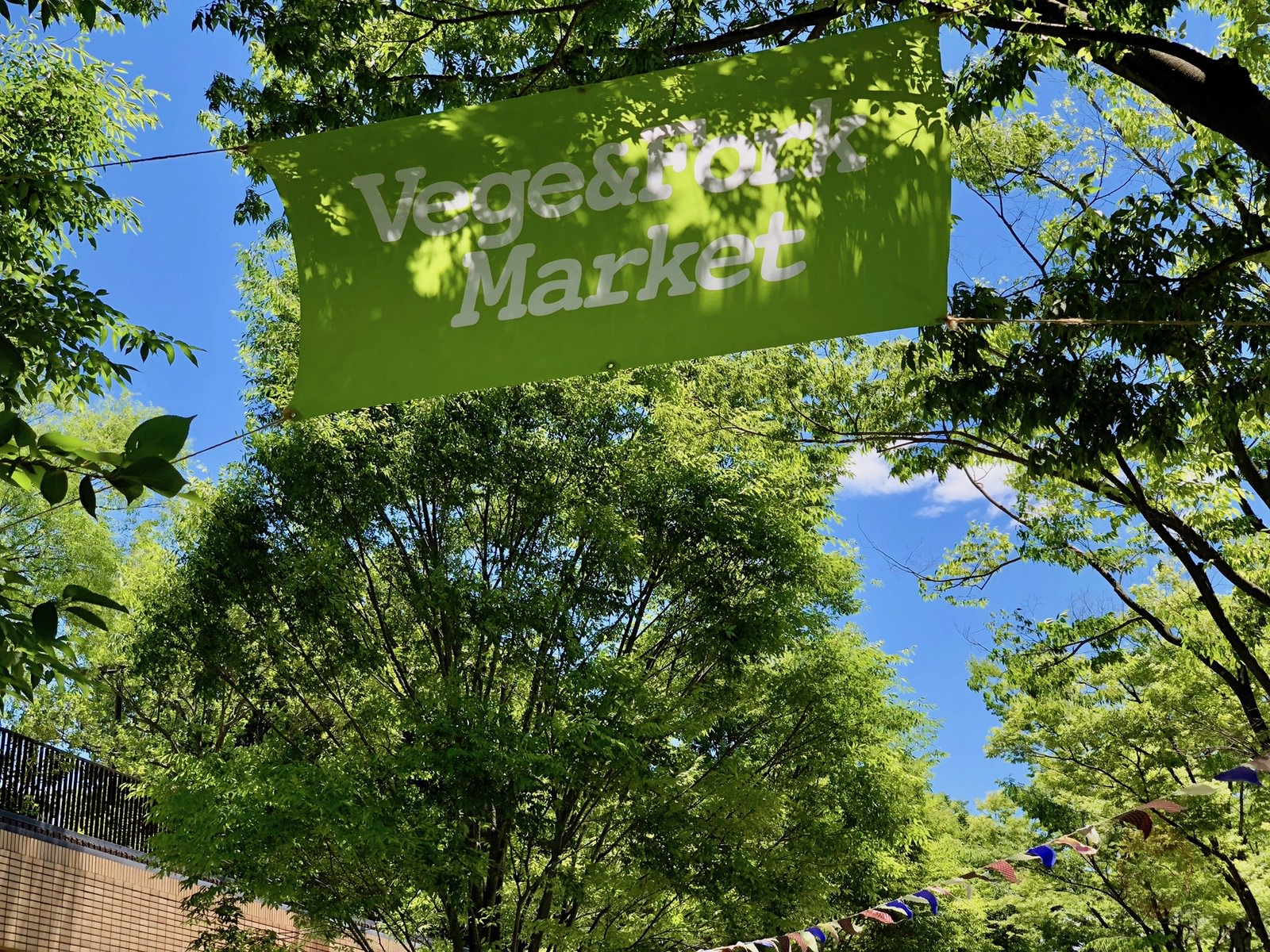 Vege and fork Market Gorime 10