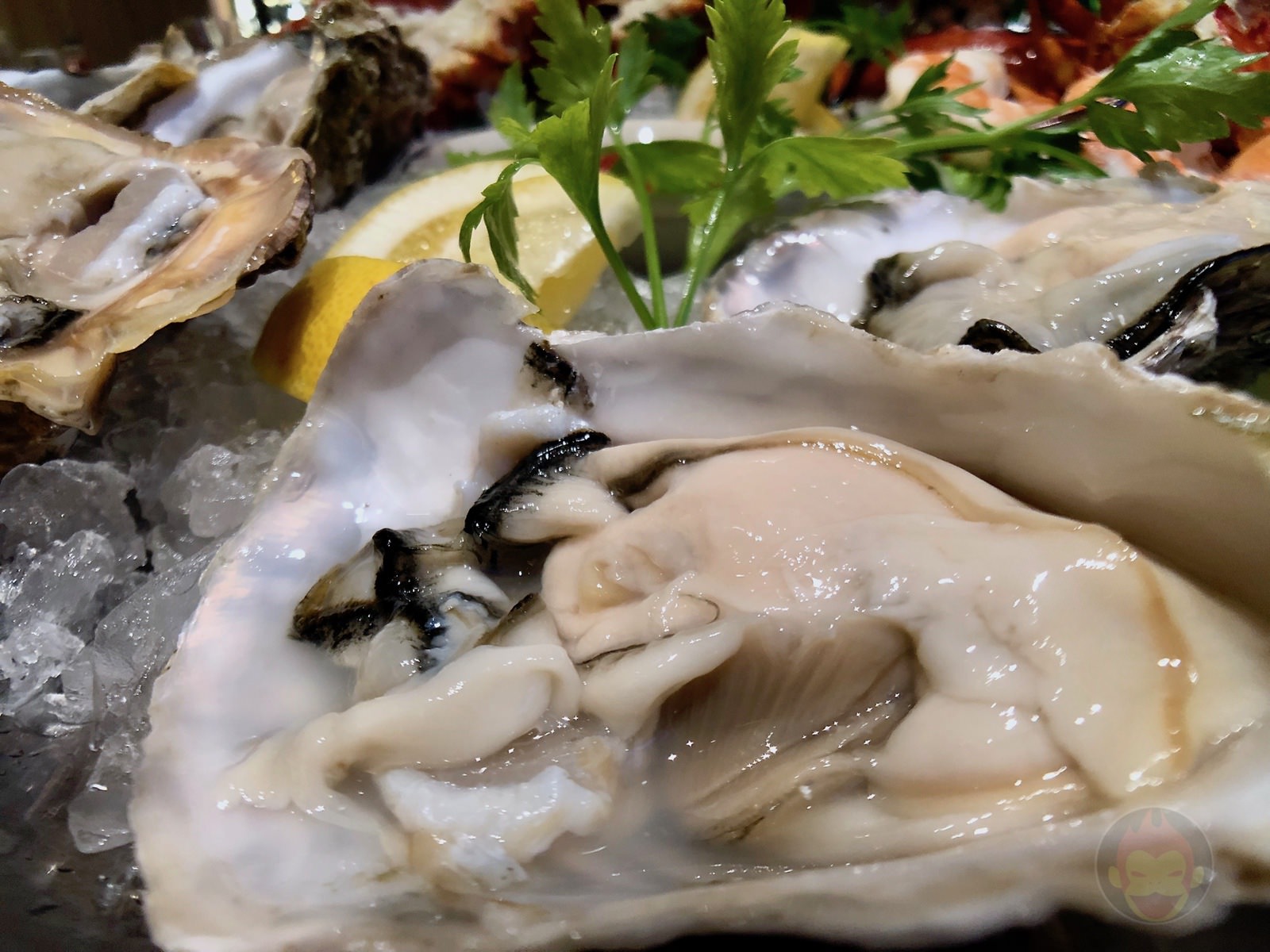 Empire Steak House Roppongi 07