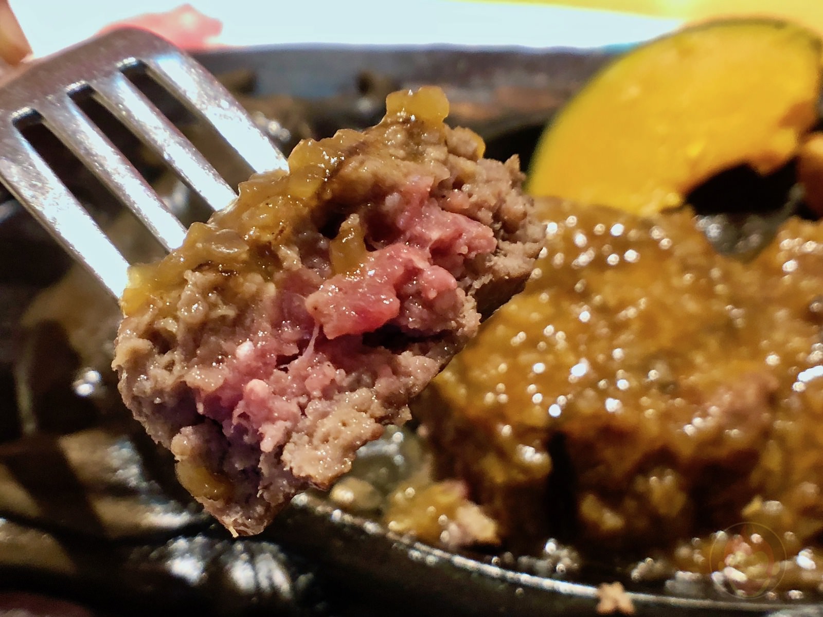 Sawayaka Gotenba Hamburger 08