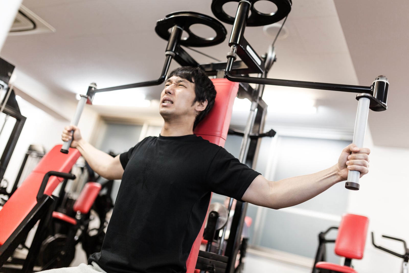 Body builder pakutaso 3