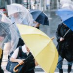 taifu-0I9A5577_TP_V-typhoon-and-umbrella.jpg