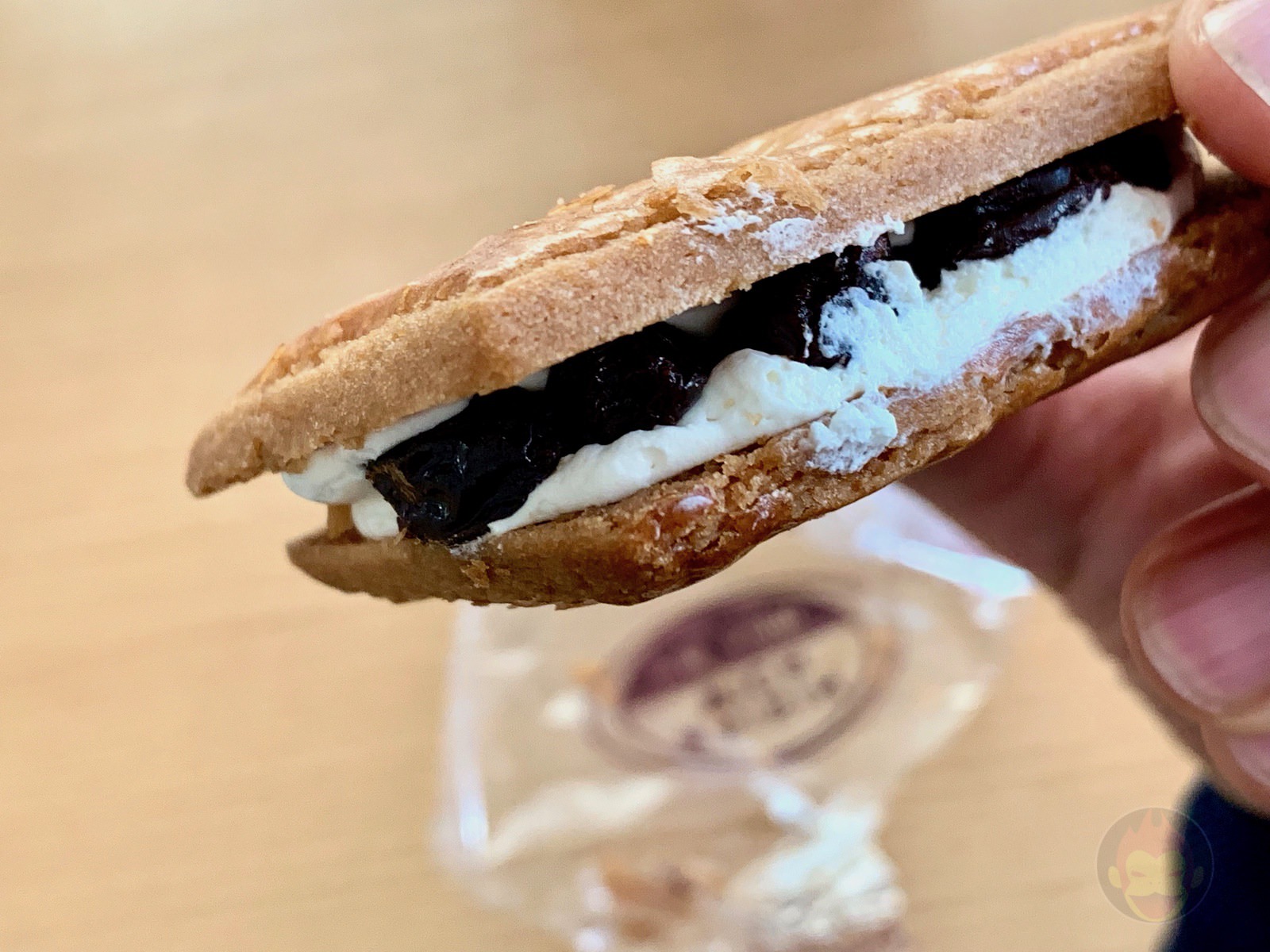 Ogawaken Raisin Wich Original 10