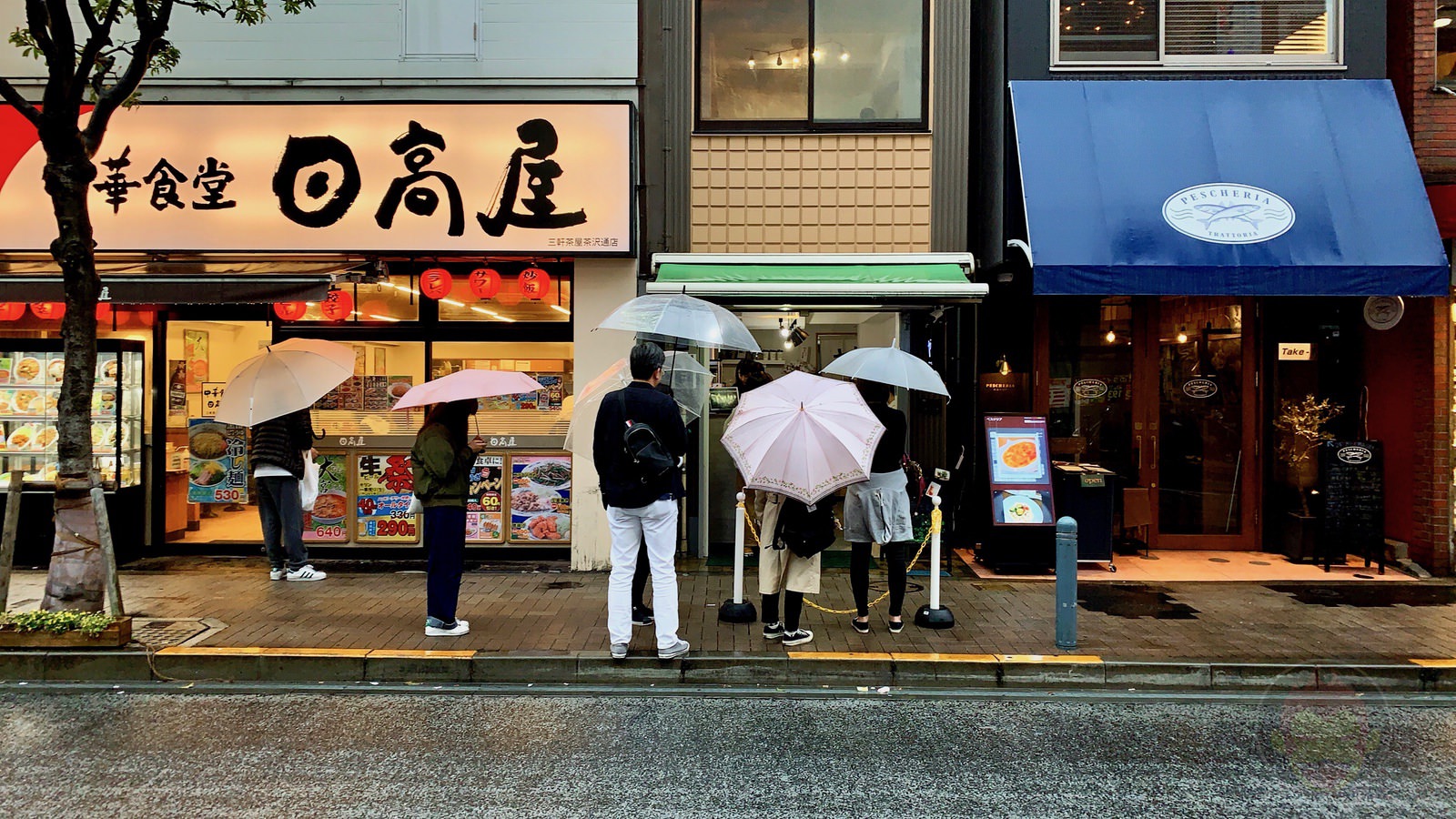 Sanchaya tapioka big size 13