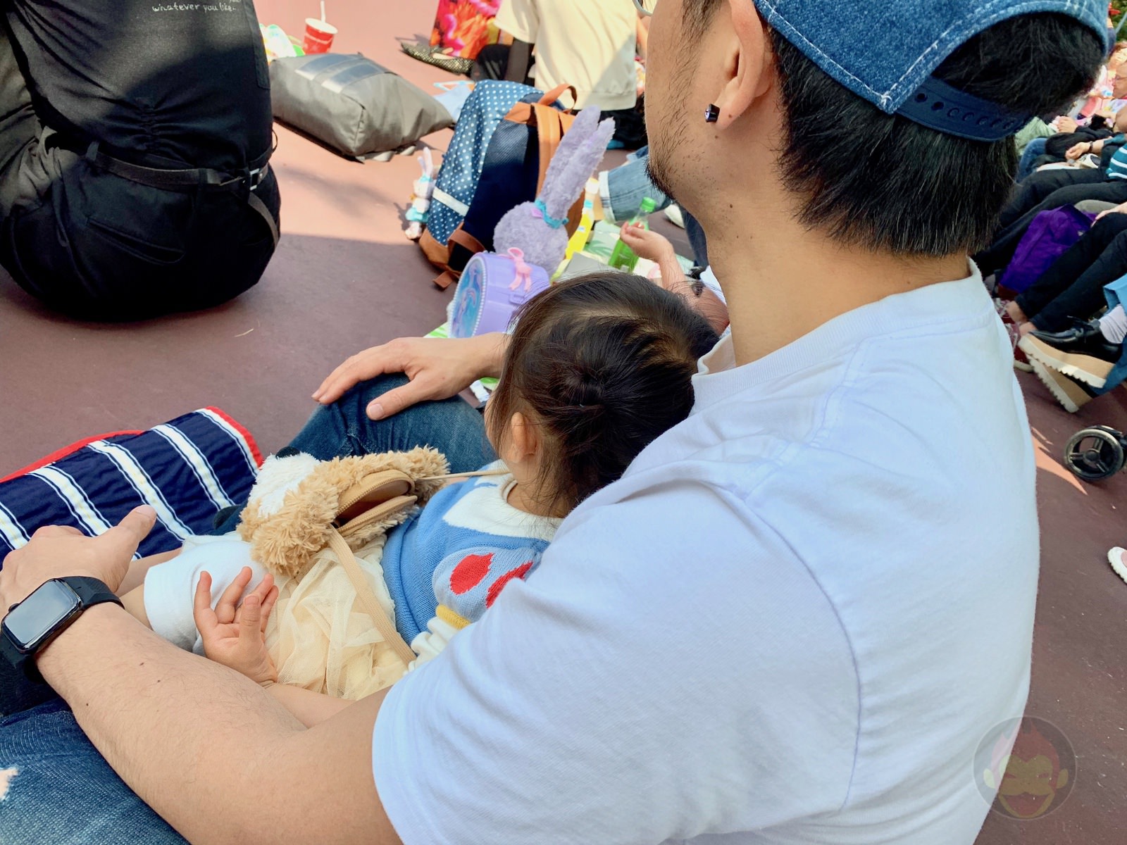 Tokyo Disney Land with 2yr old daughter 03