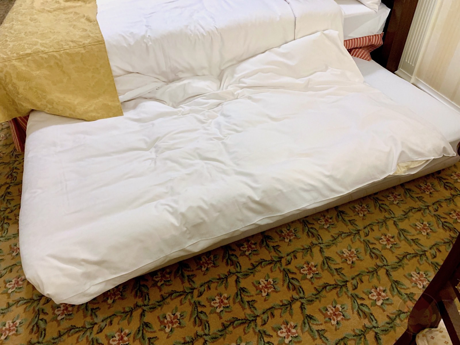 Tokyo Disney Land with 2yr old daughter 28