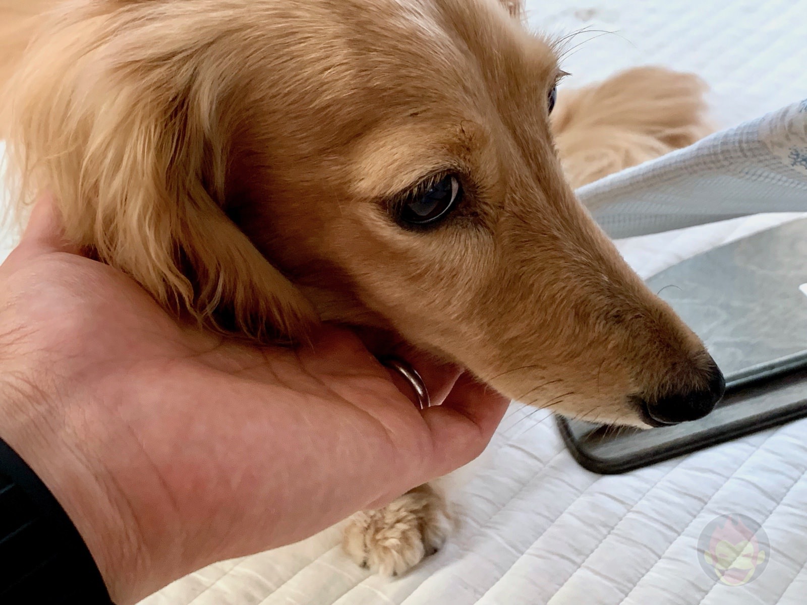 A day of a freelance father of two kids 02