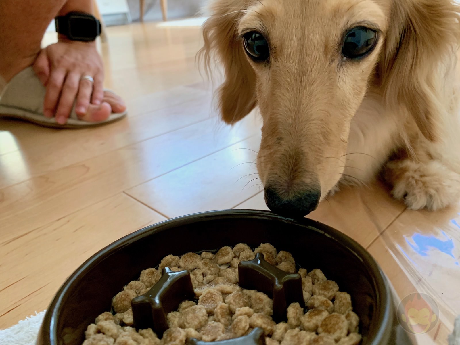 A day of a freelance father of two kids 08