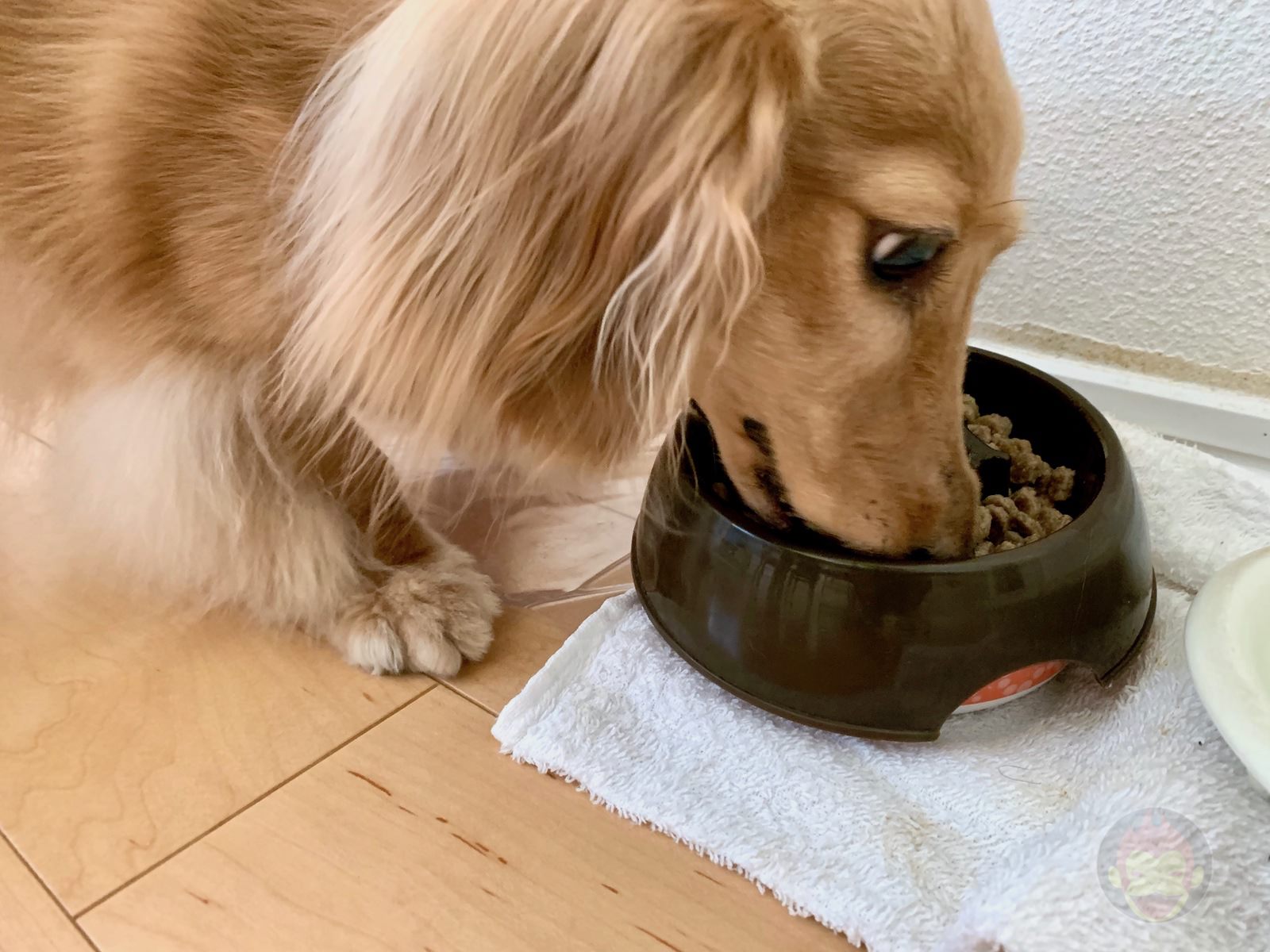 A day of a freelance father of two kids 09