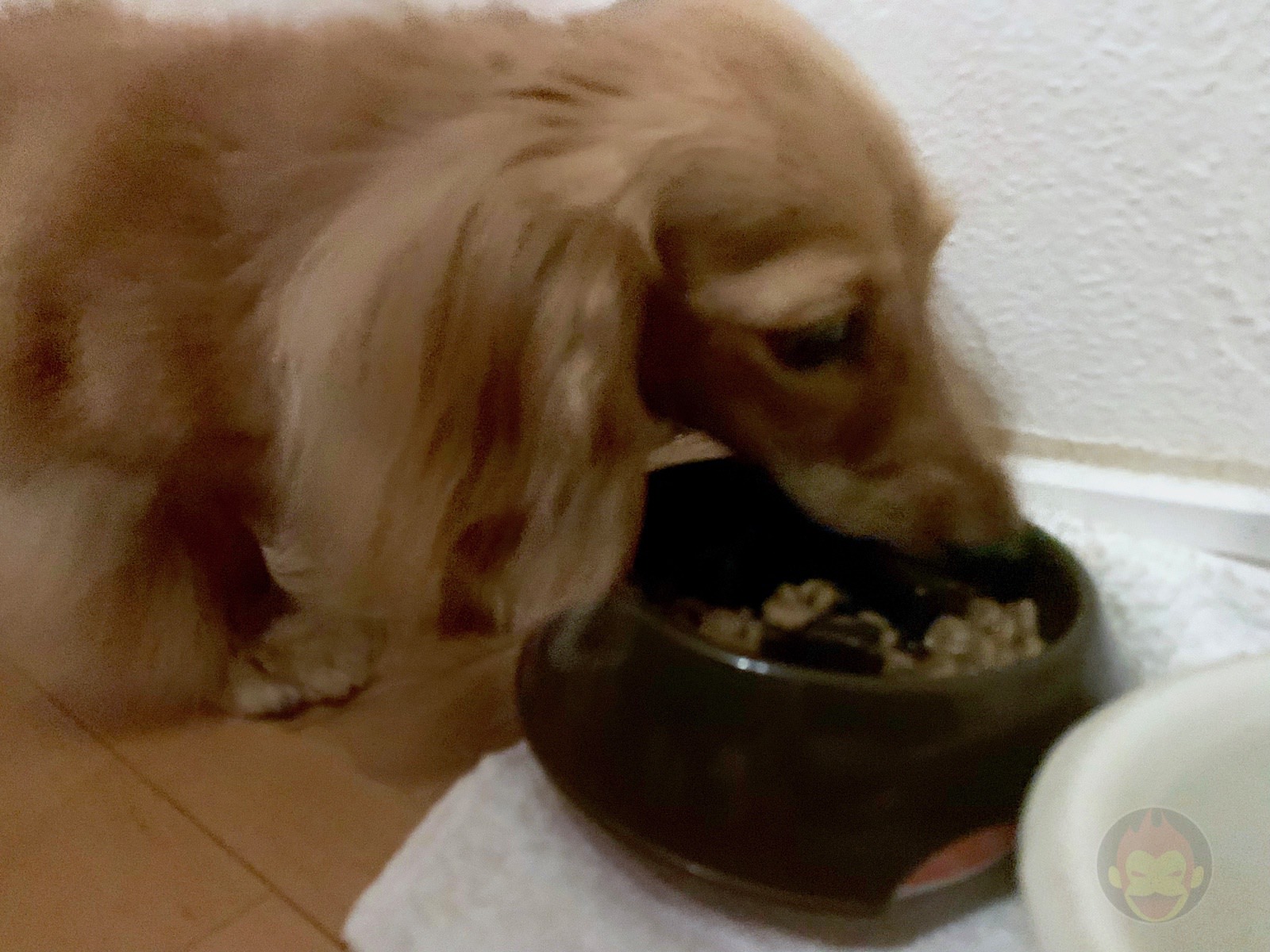 A day of a freelance father of two kids 32