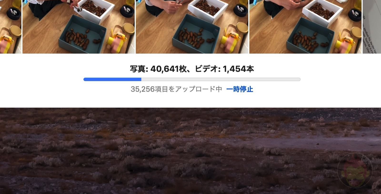 Waiting for this to finish is a nightmare 00