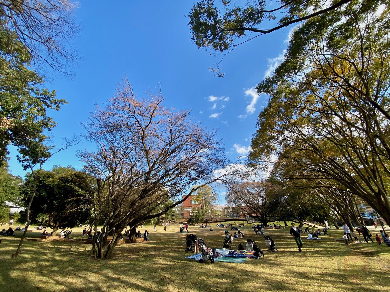 Tsuruma Park Minamimachid Grandberry Pak 01