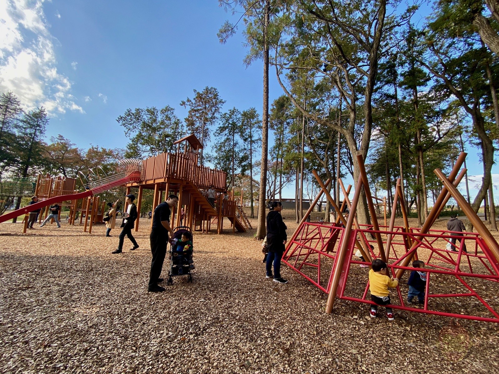 Tsuruma Park Minamimachid Grandberry Pak 03