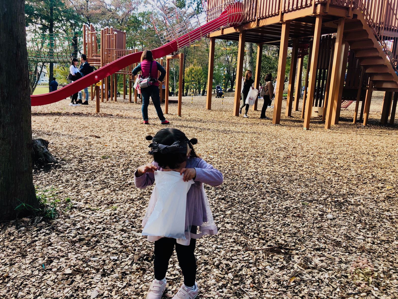 Tsuruma Park Minamimachid Grandberry Pak 09