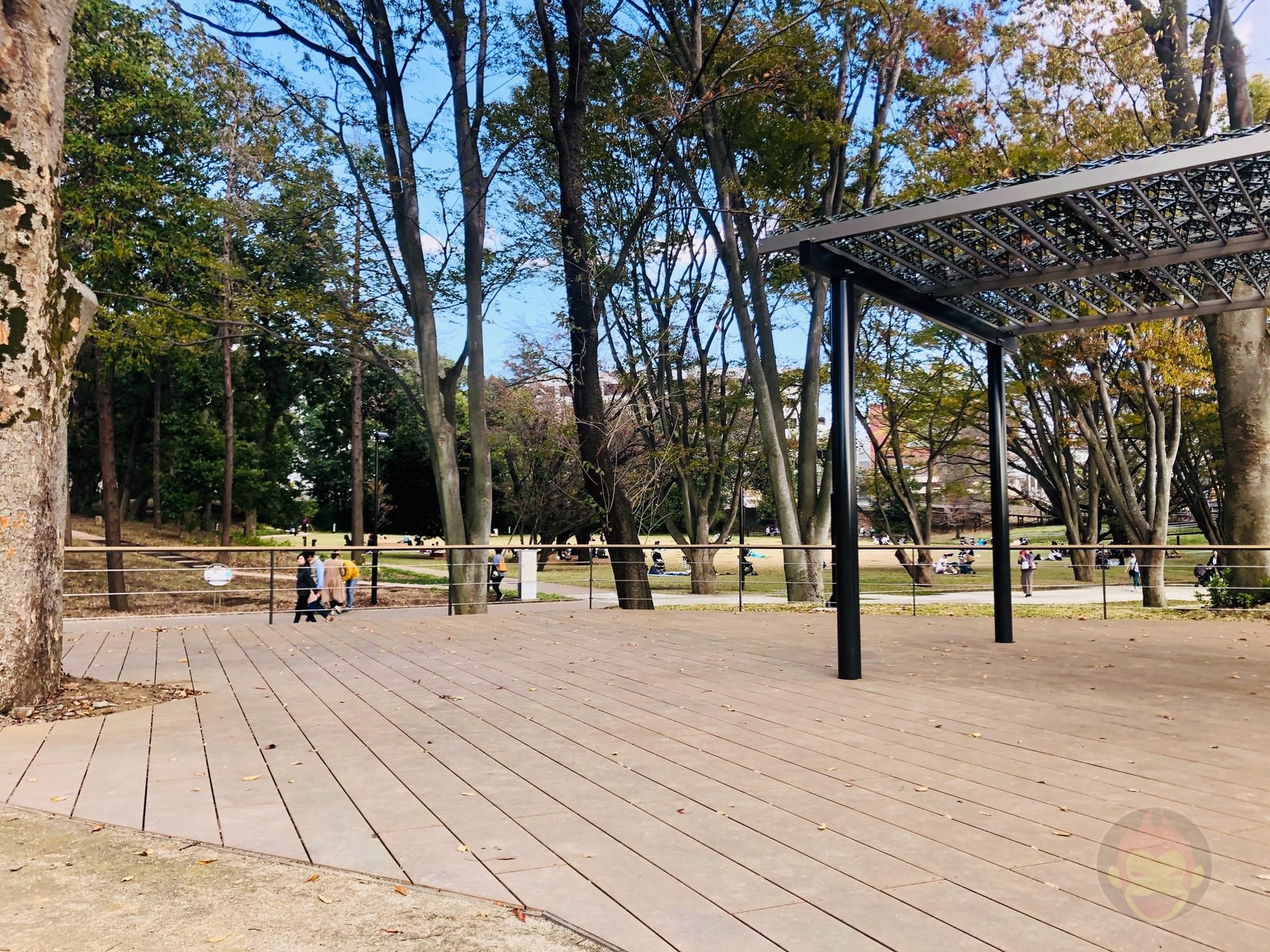 Tsuruma Park Minamimachid Grandberry Pak 10