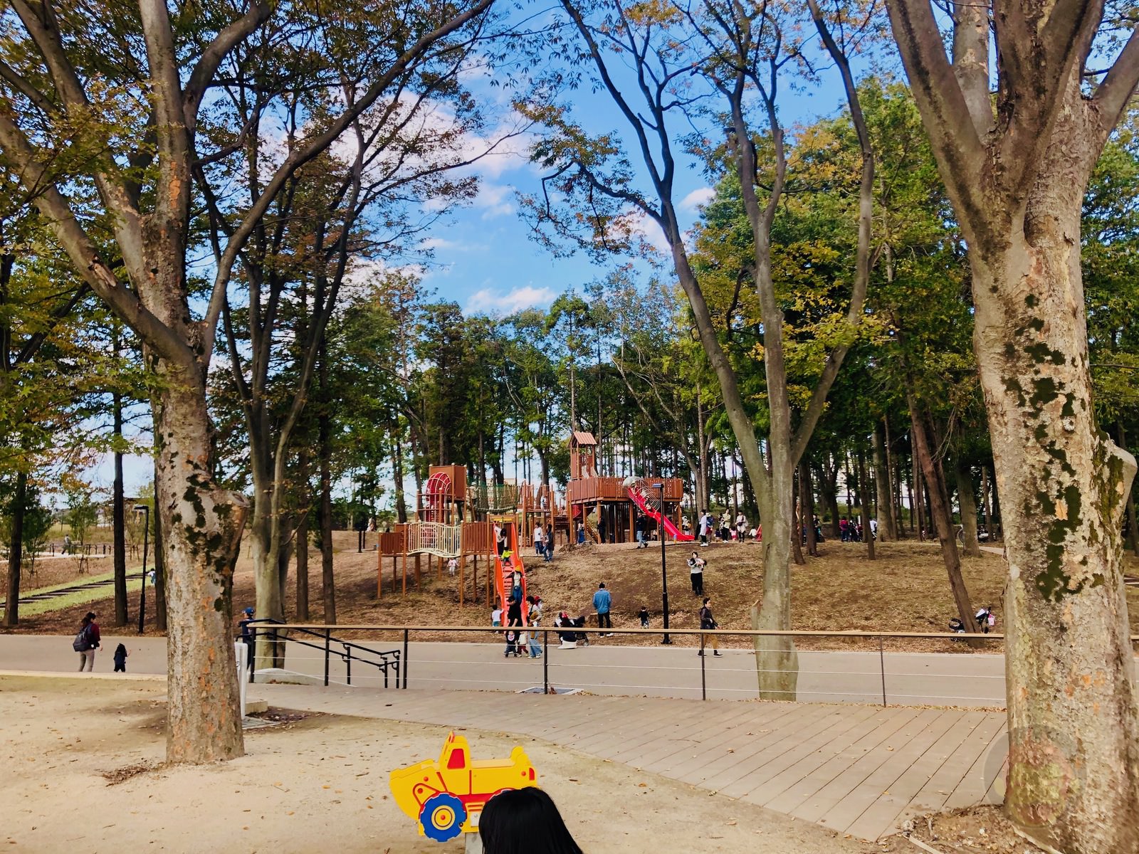 Tsuruma Park Minamimachid Grandberry Pak 11