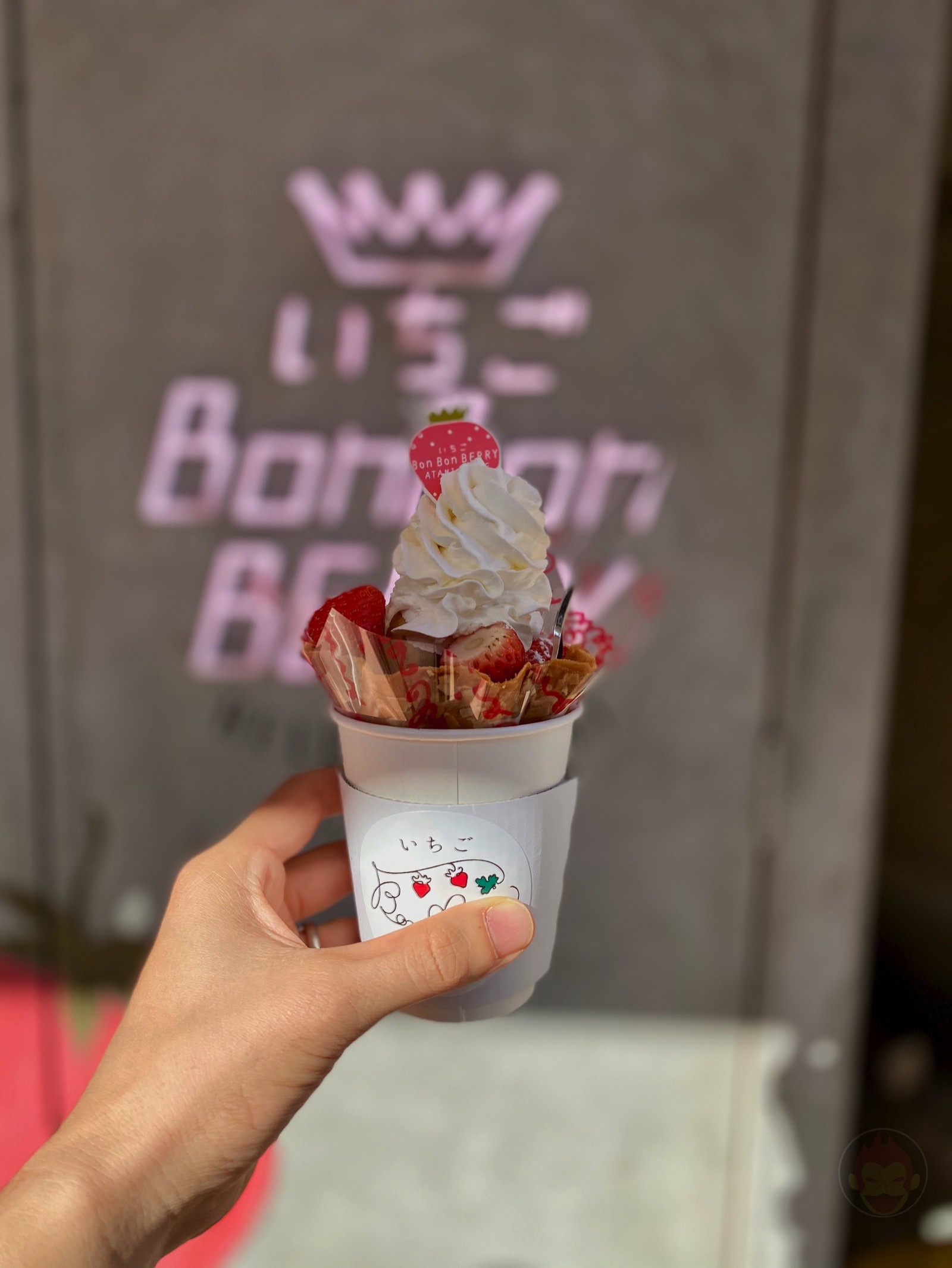 Bon Bon Berry Strawberry shop 15